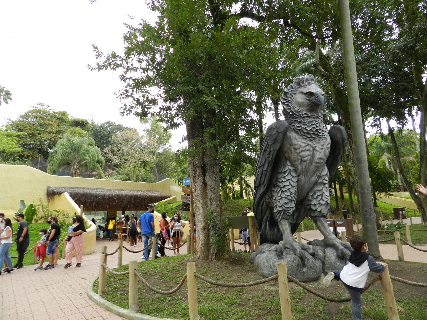Harpy eagle statue - BioParque do Rio