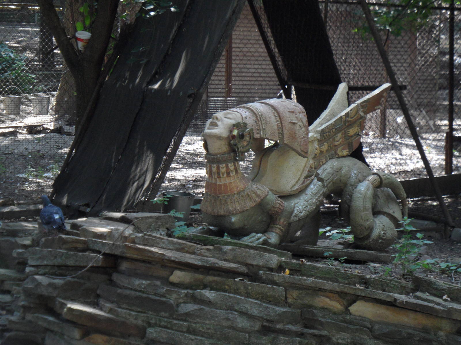 Harpy sculpture at crowned crane exhibit