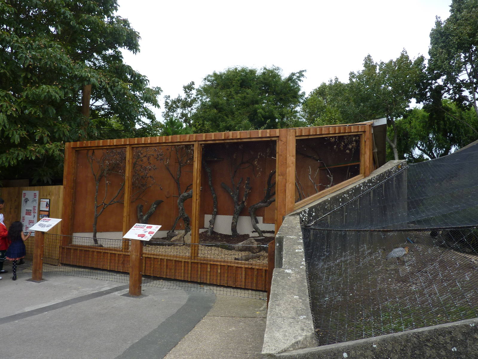 Harris Hawk aviary, 30th September 2012.