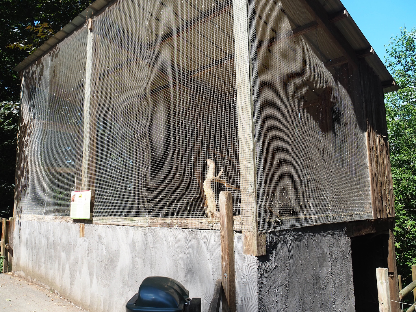 Harris's hawk aviary, 2023-06-24