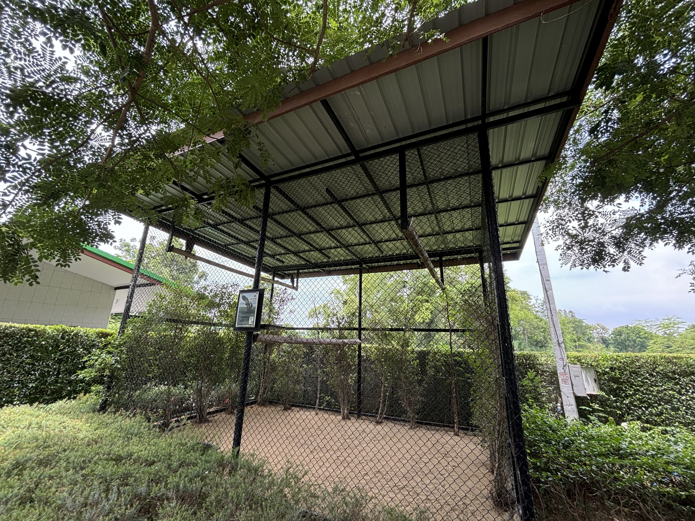 Harris’s Hawk Aviary - Lion Park
