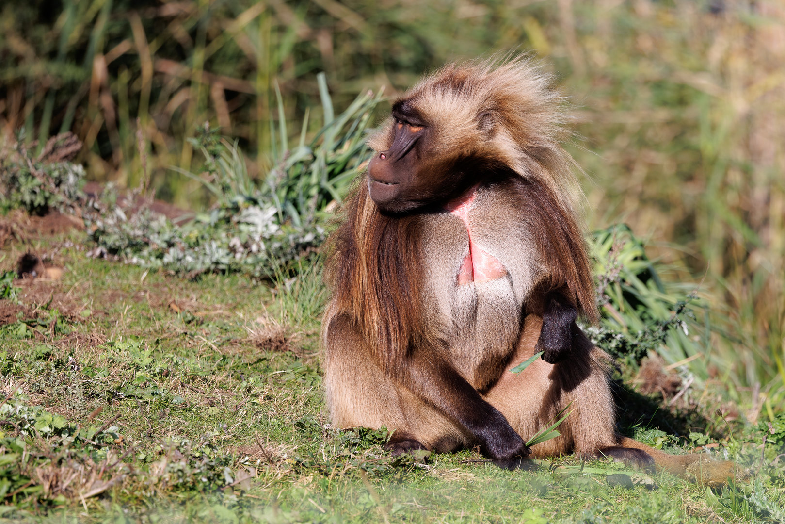 Harry enjoying a snack
