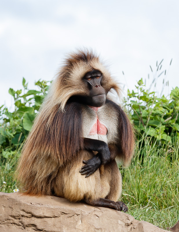 "Harry" the boss man