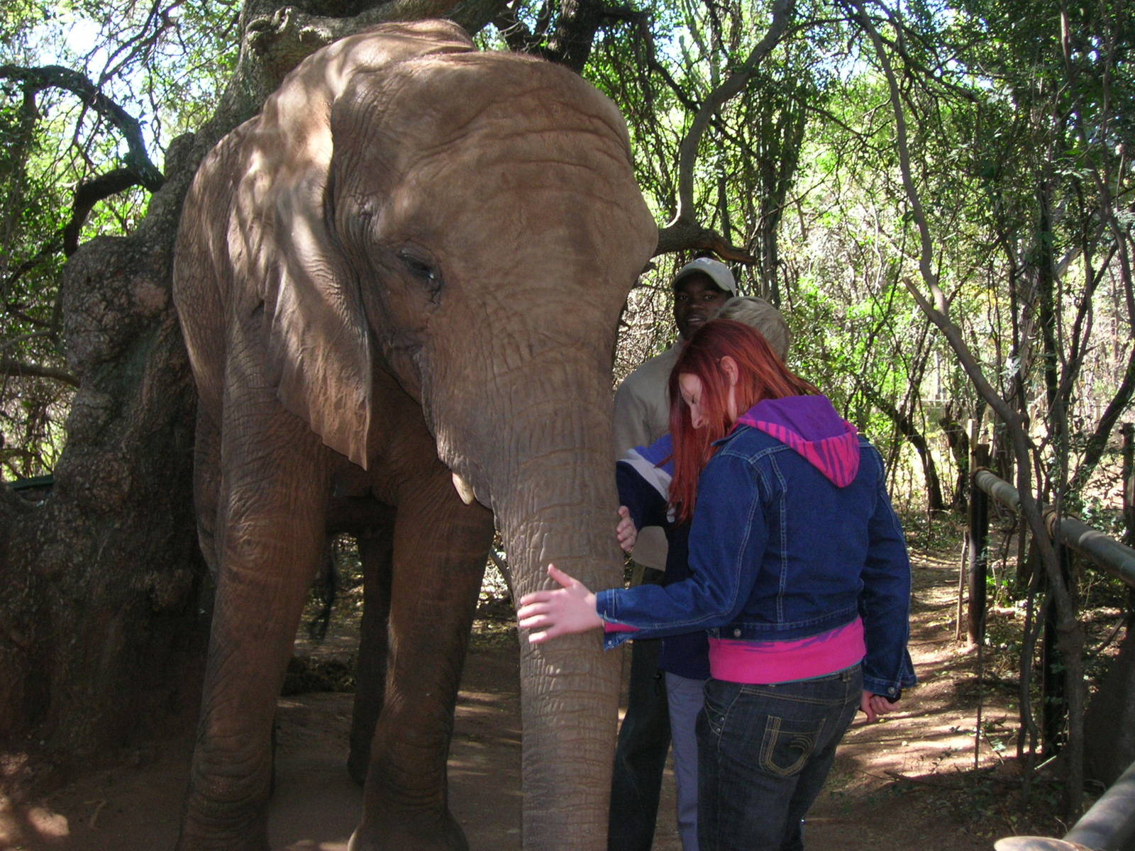 Hartbeespoortdam Elephant Sanctuary