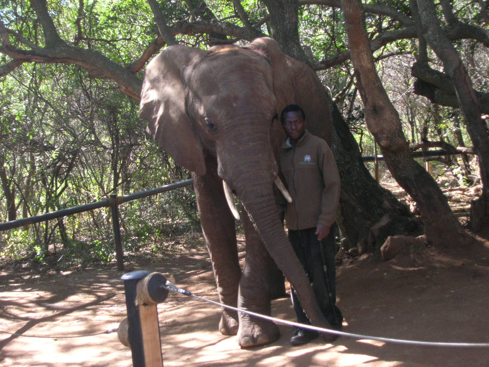 Hartbeespoortdam Elephant Sanctuary
