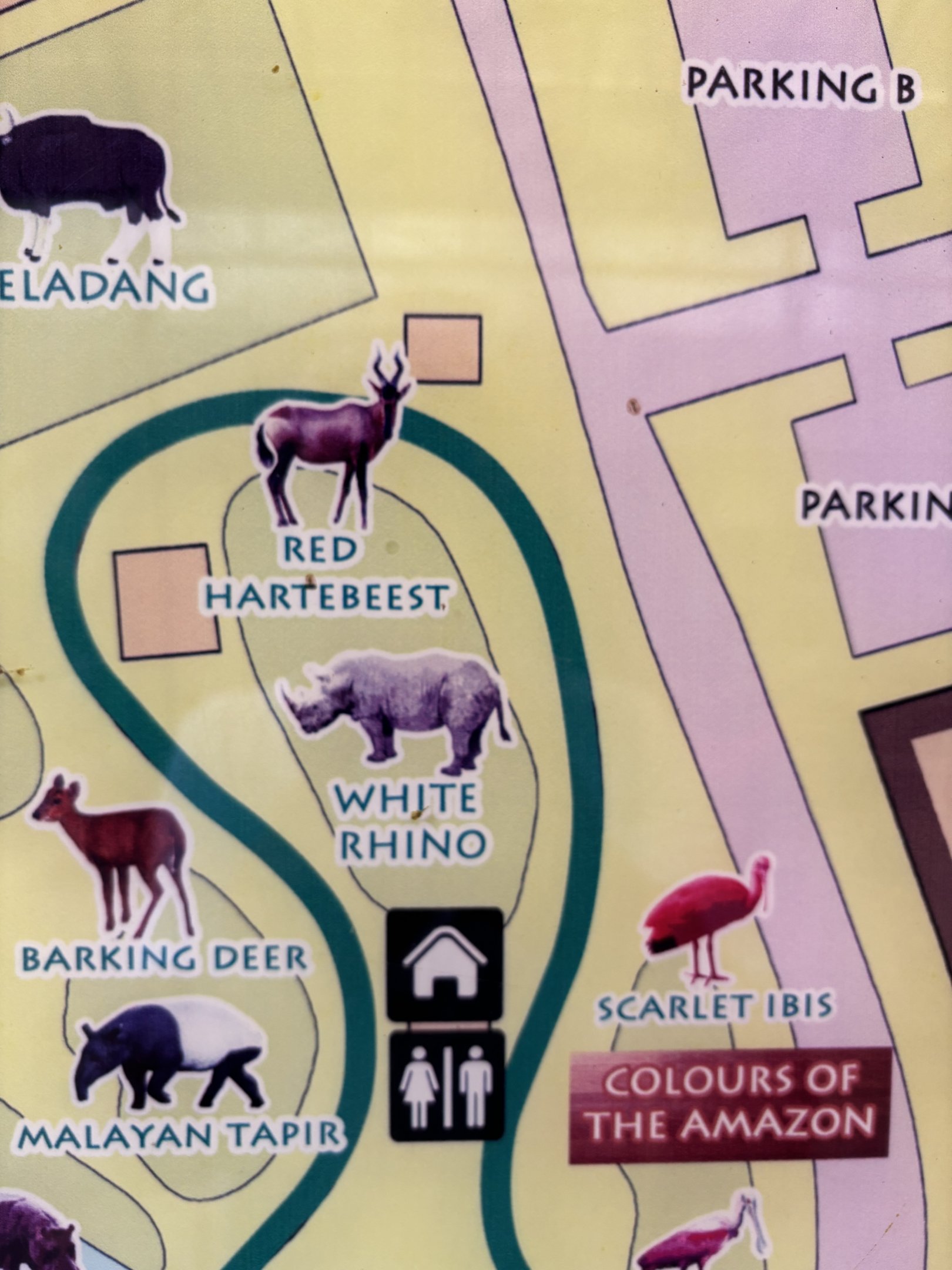 Hartebeest on zoo map