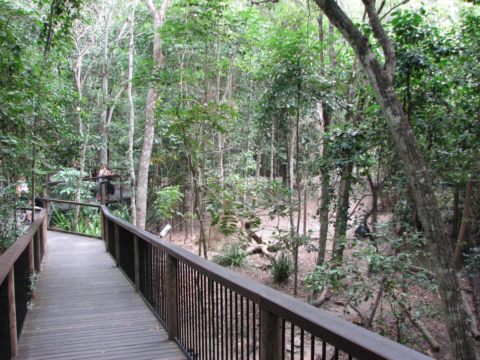 Hartleys Crocodile Adventures 2007 - Boardwalk in front of the Cassowary en