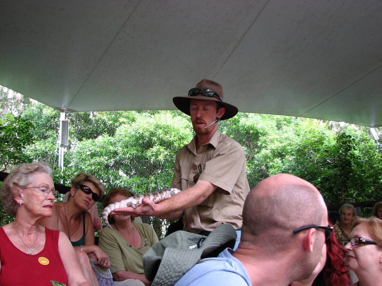 Hartleys Crocodile Adventures 2007 - Reptile Show