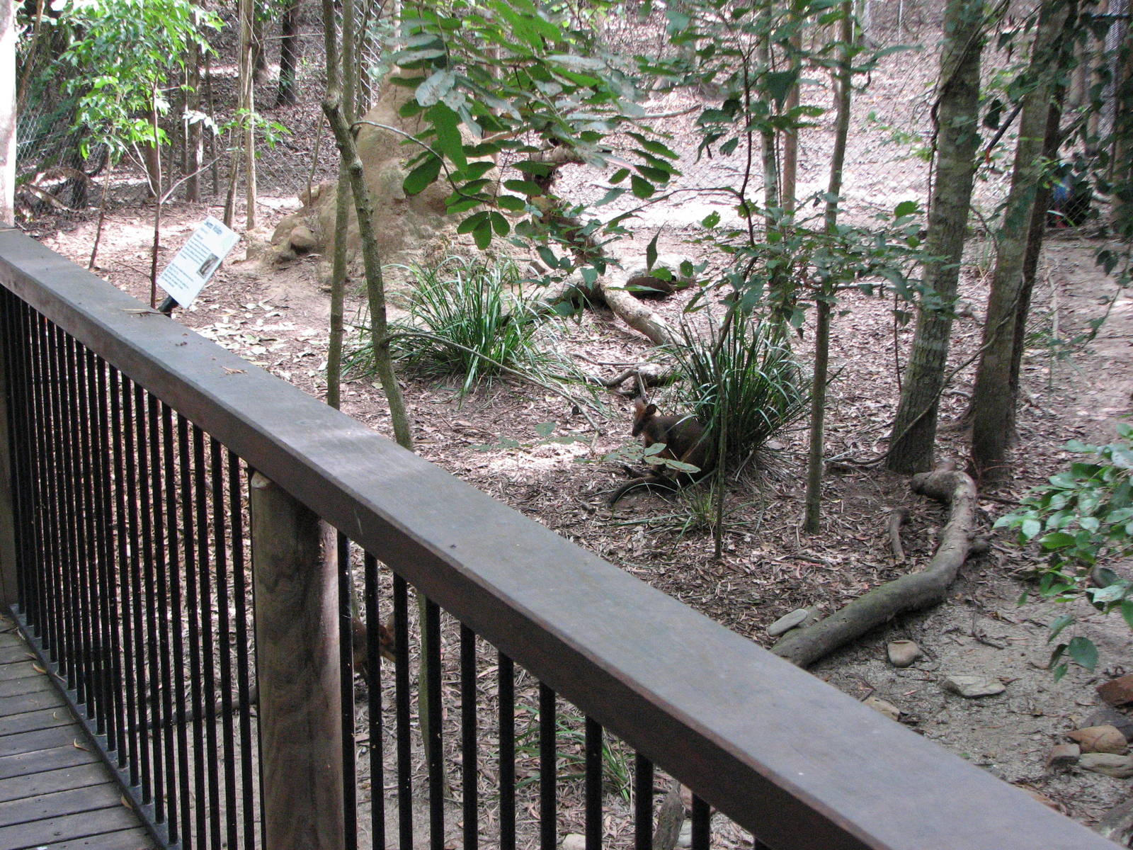 Hartleys Crocodile Adventures 2007 - Wallaby enclosure