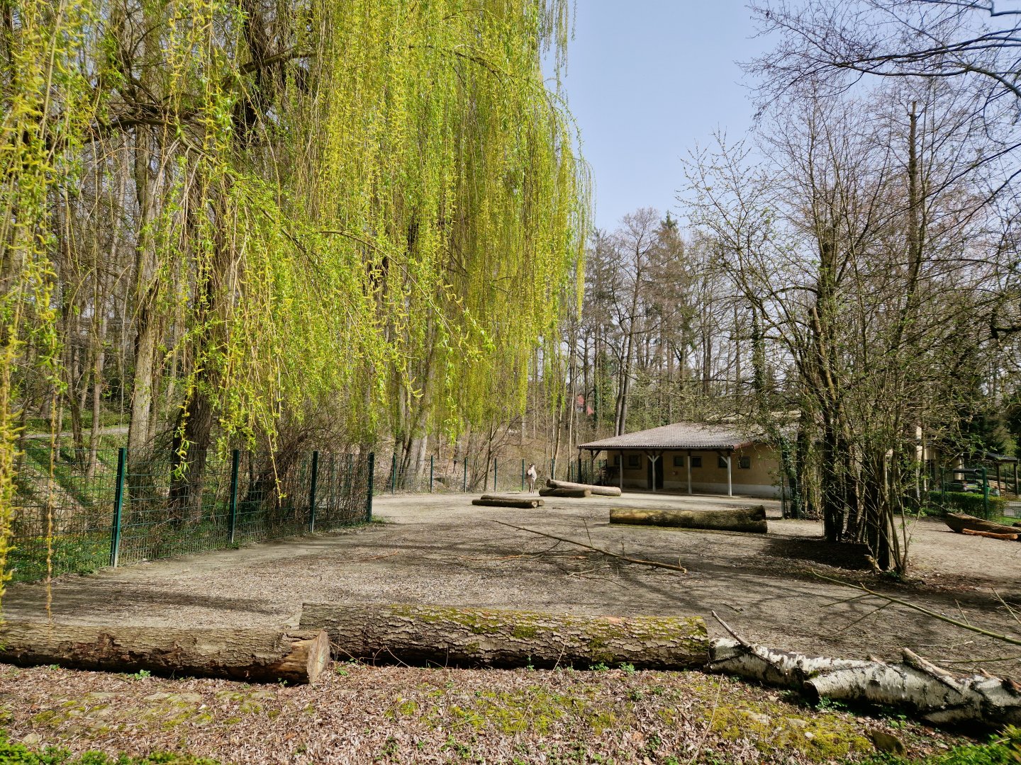 Hartmann Mountain Zebra exhibit