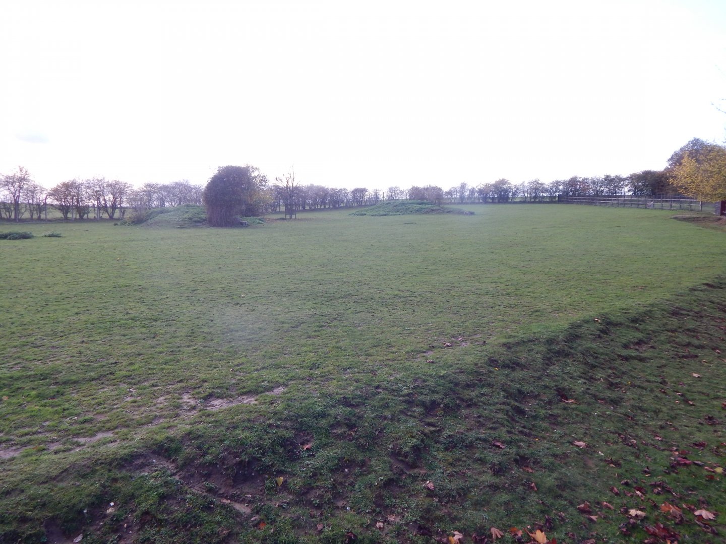 Hartmann's mountain zebra enclosure 011125