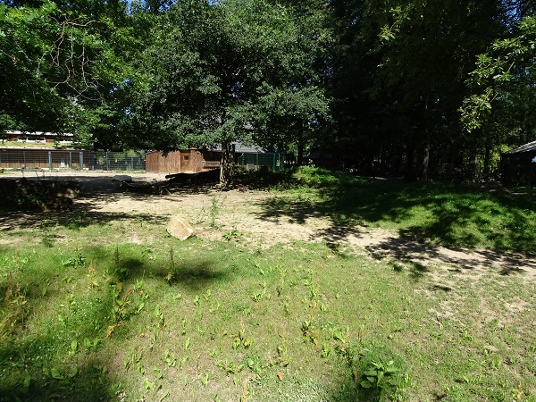 Hartmann's mountain zebra enclosure (07/22)