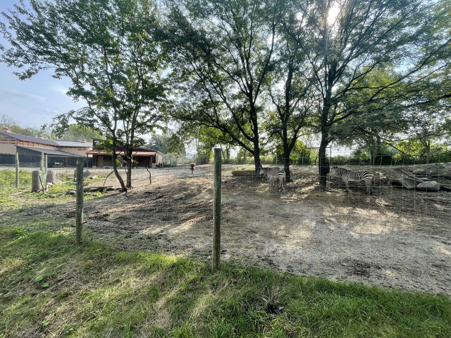 Hartmann’s Mountain Zebra Exhibit