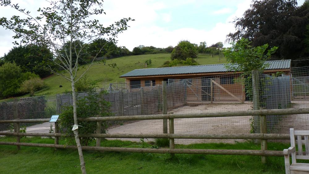 Hartmann's Mountain Zebra House