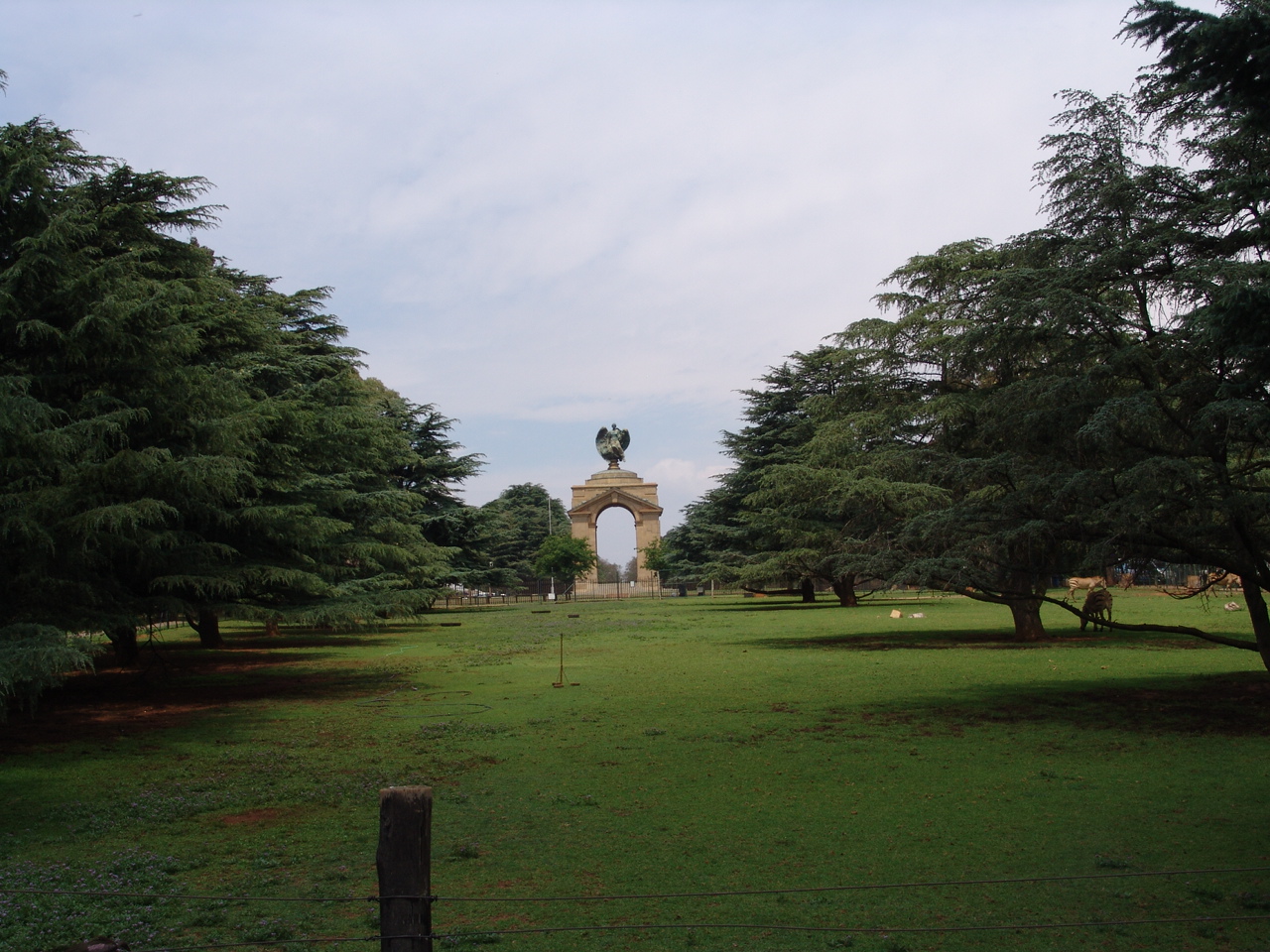 Hartmann's Mountain Zebra's (Equus zebra hartmannae) exhibit