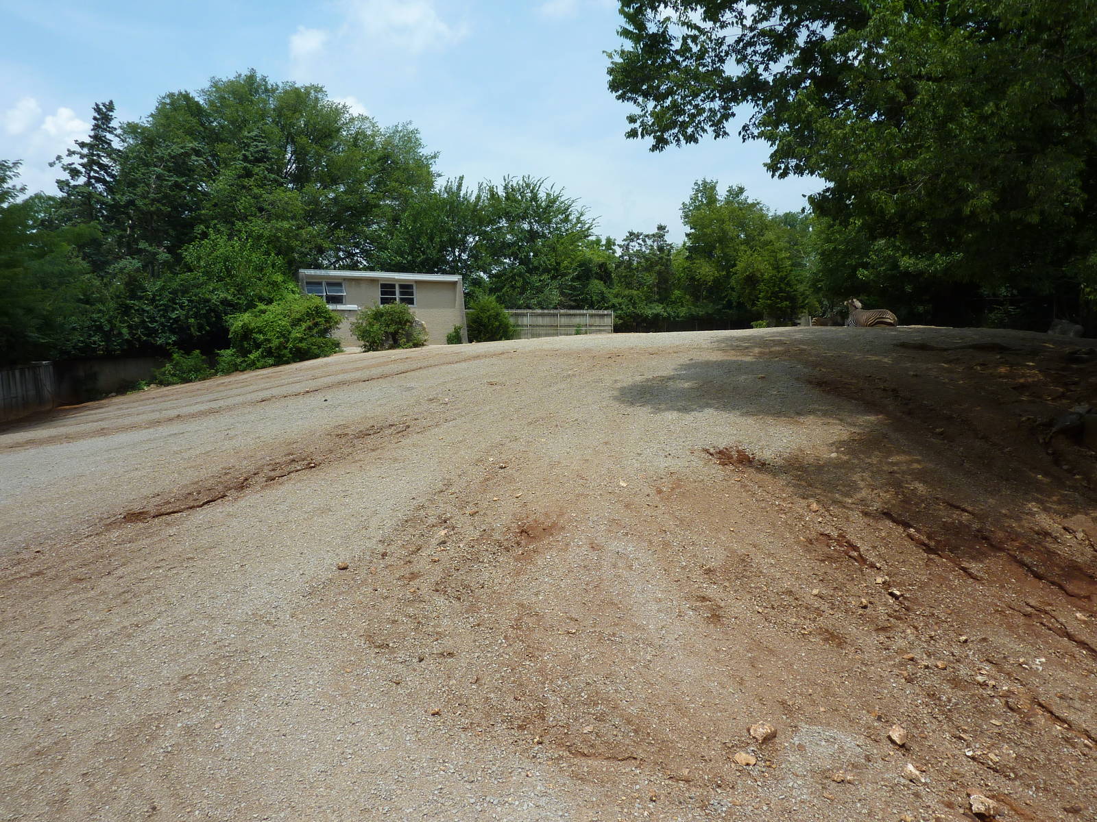 Hartman's Mountain Zebra Exhibit