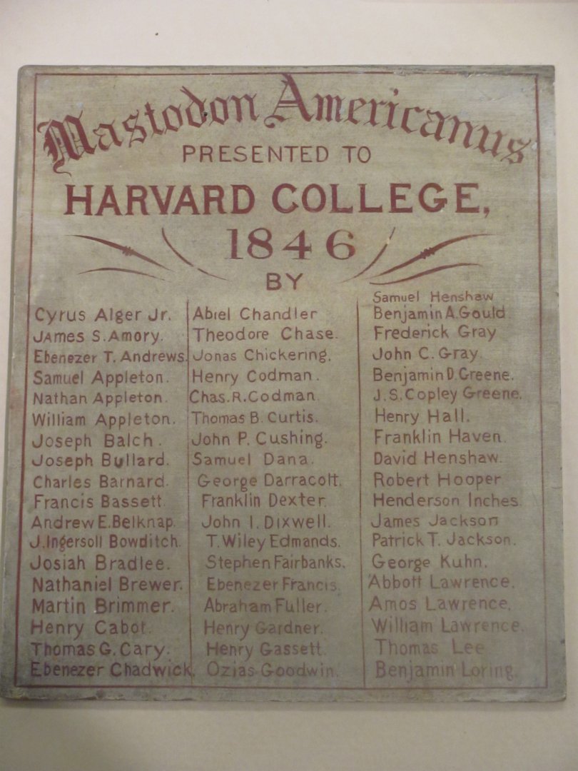 Harvard Mastodon Donor List 1