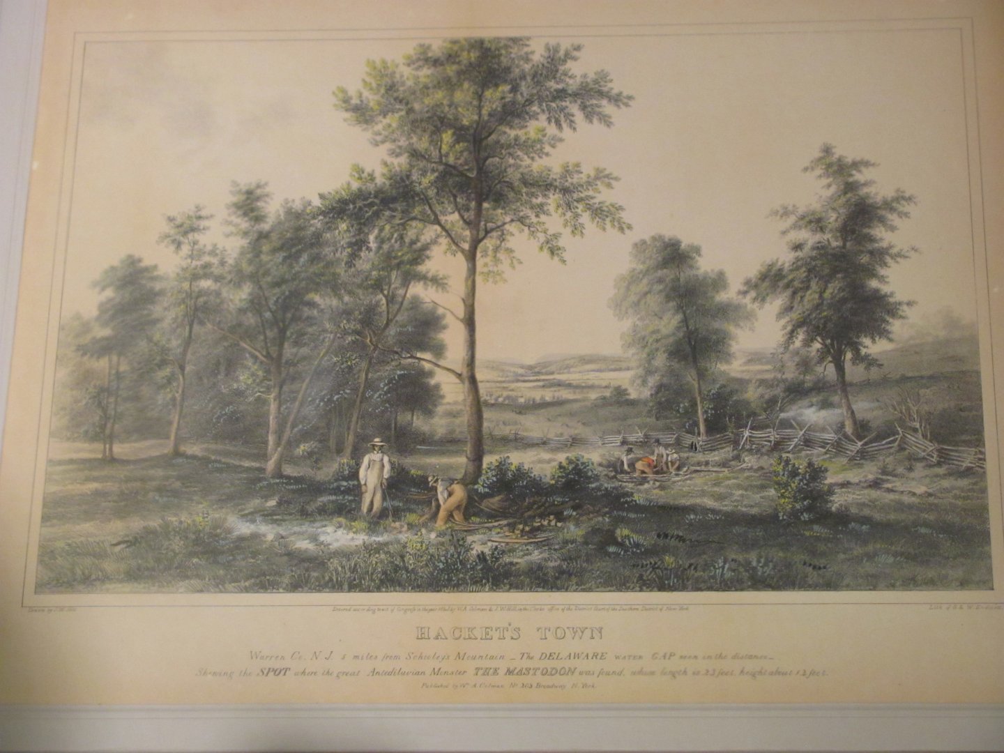 Harvard Mastodon Excavation Illustration