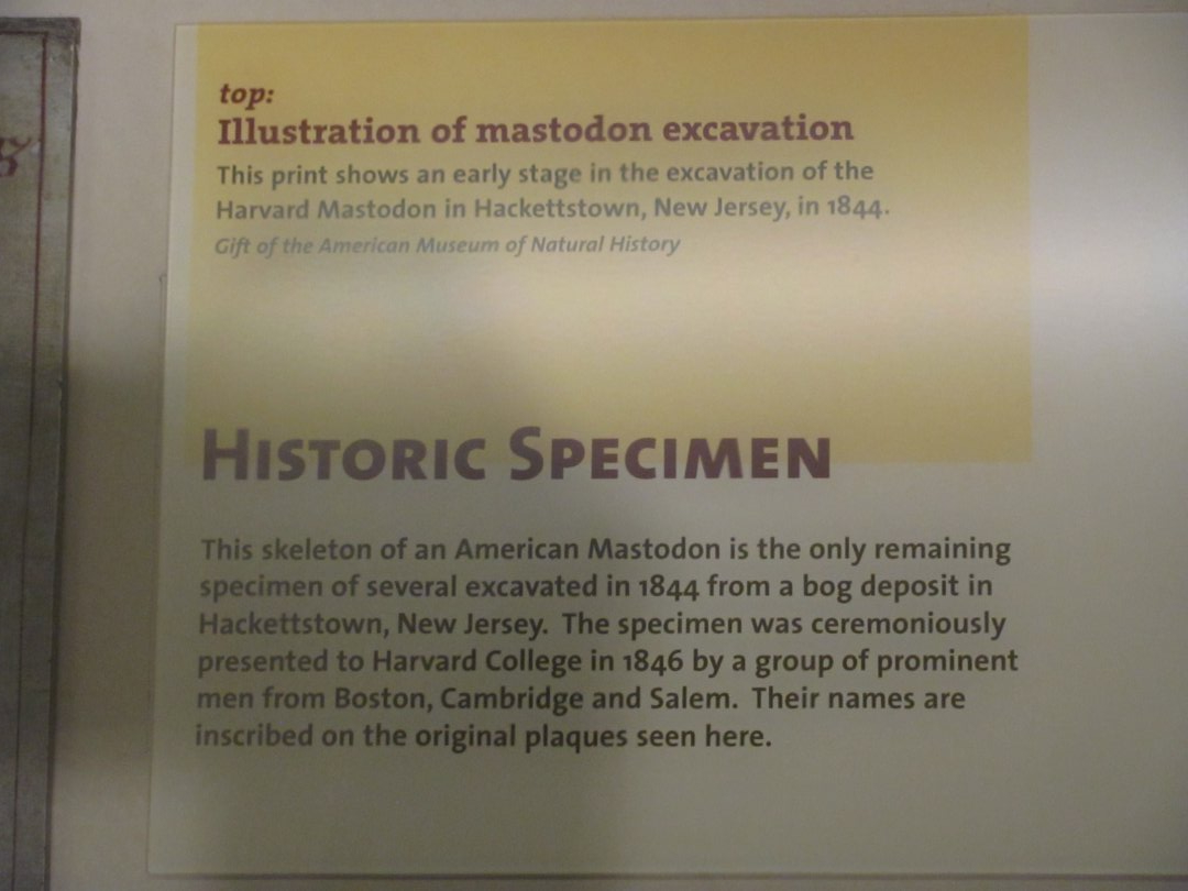 Harvard Mastodon Info