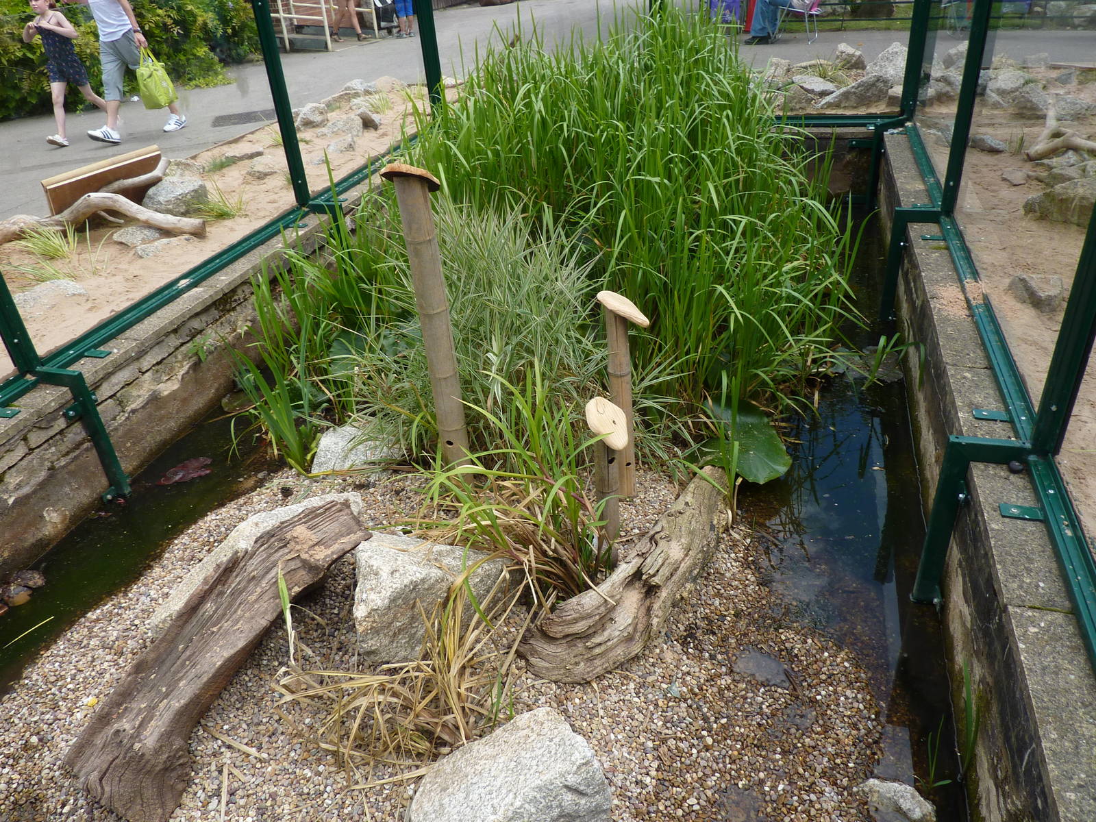 Harvest mouse enclosure - 10th August 2012