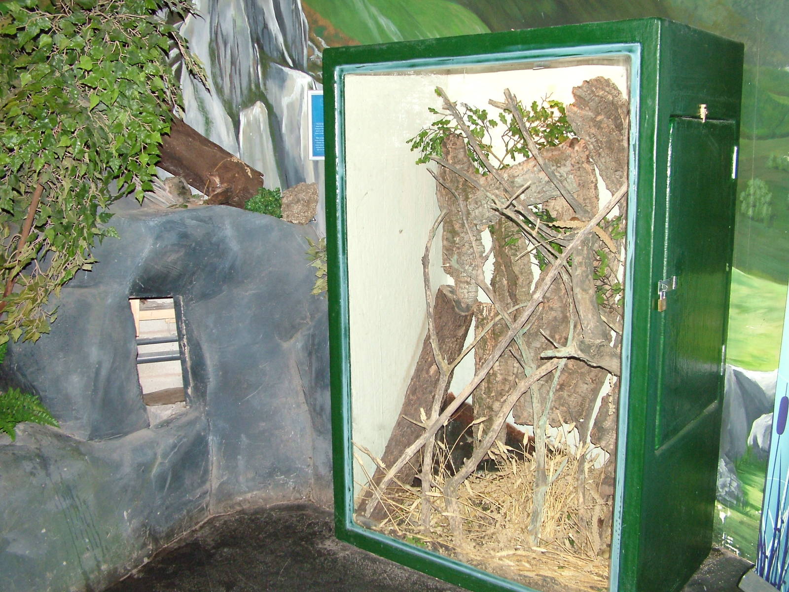 Harvest Mouse enclosure at Lakes Aquarium 2008