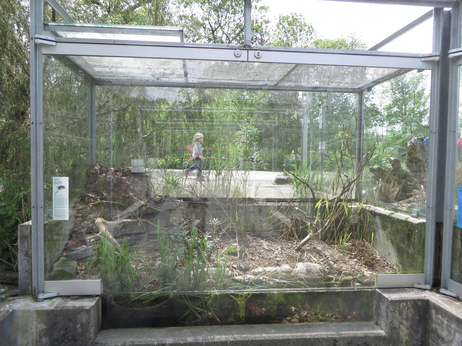 Harvest mouse enclosure