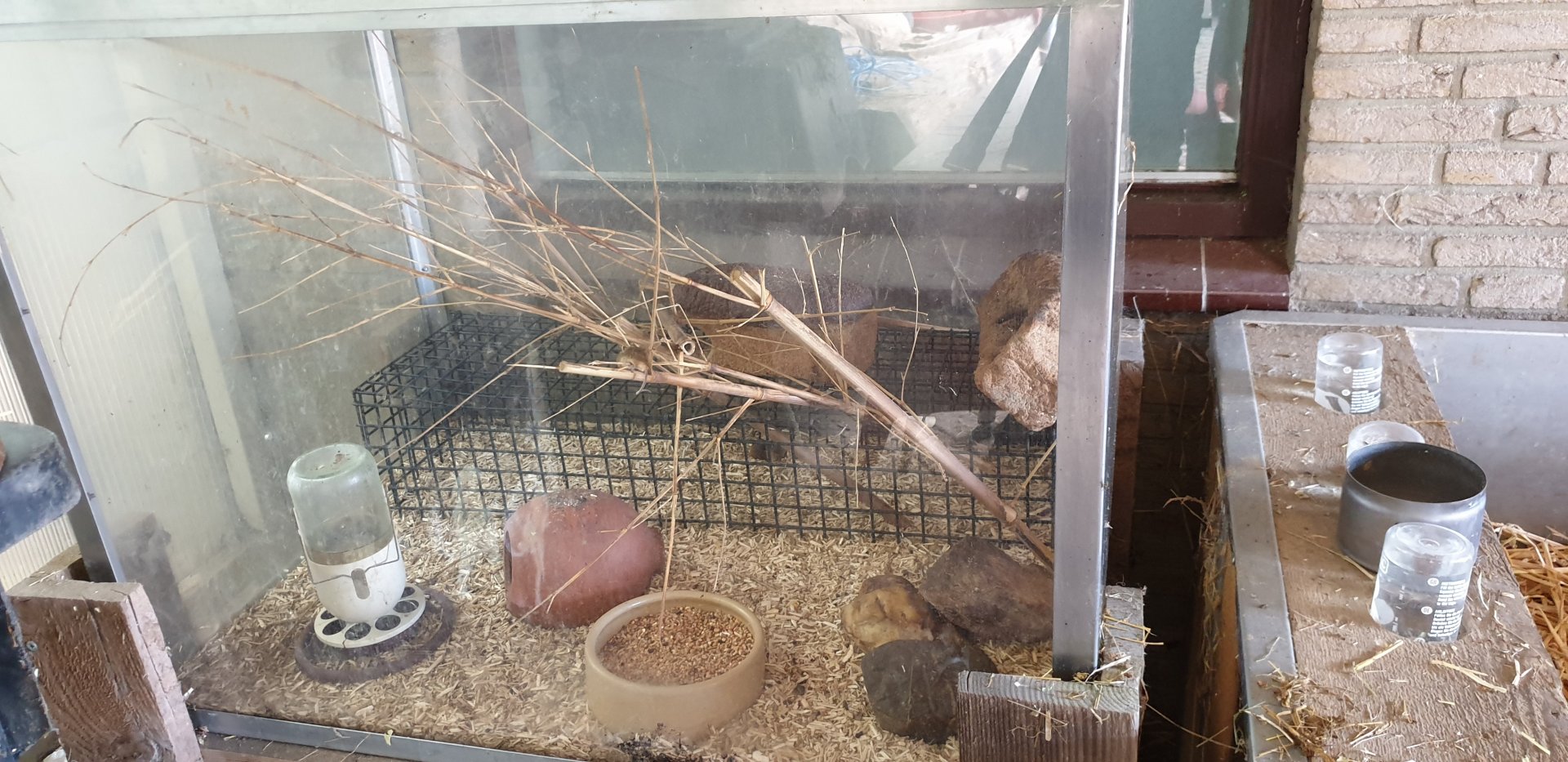 Harvest mouse enclosure