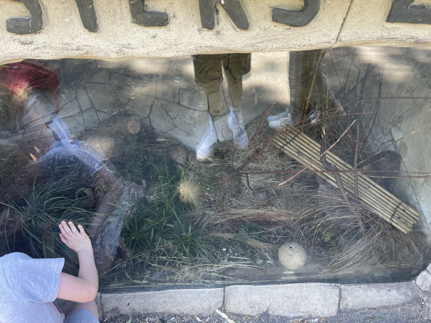 Harvest mouse enclosure