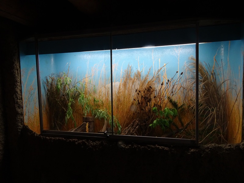 Harvest mouse enclosure