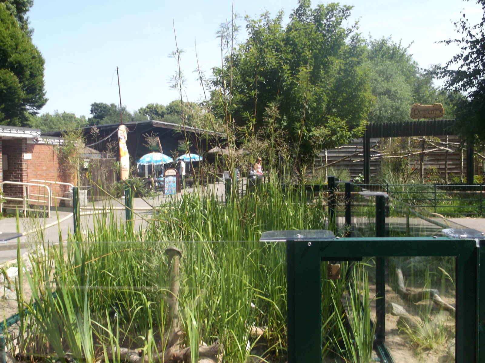 Harvest Mouse/European Pond Terrapin Enclosure