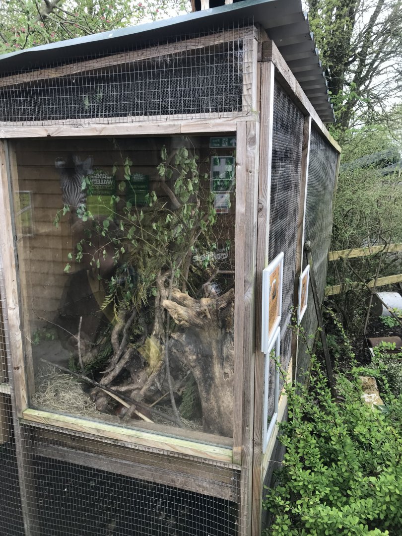 Harvest mouse exhibit 280418