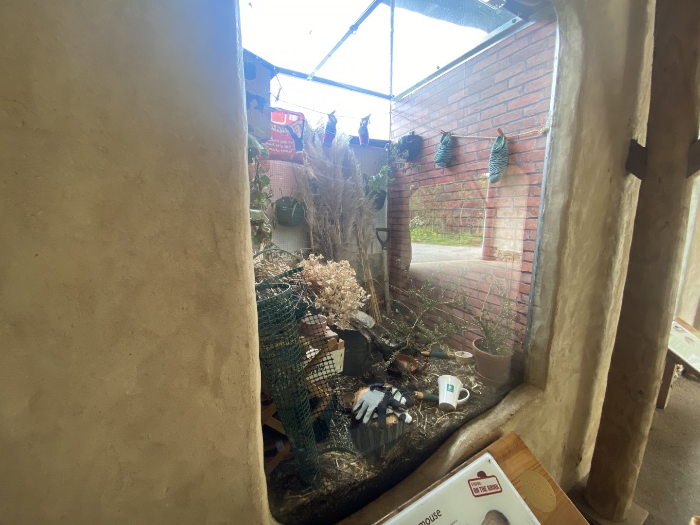 Harvest mouse exhibit 290422