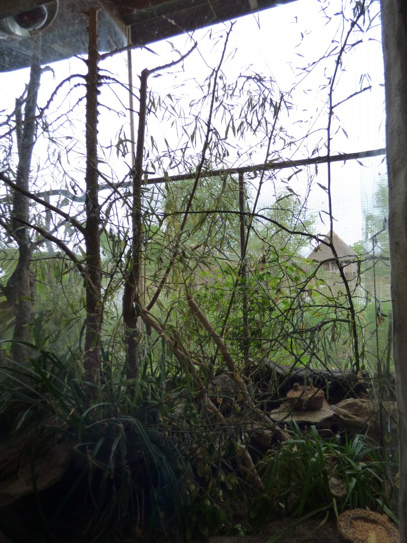 Harvest Mouse Exhibit