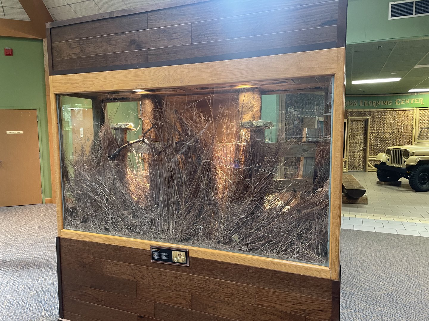 Harvest Mouse Exhibit