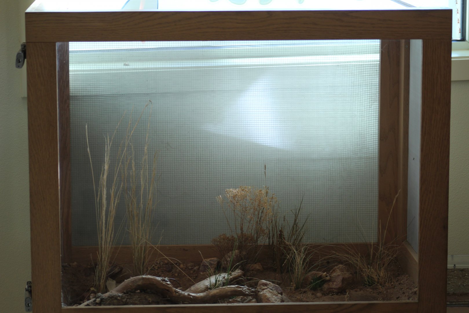 Harvester Ant Enclosure