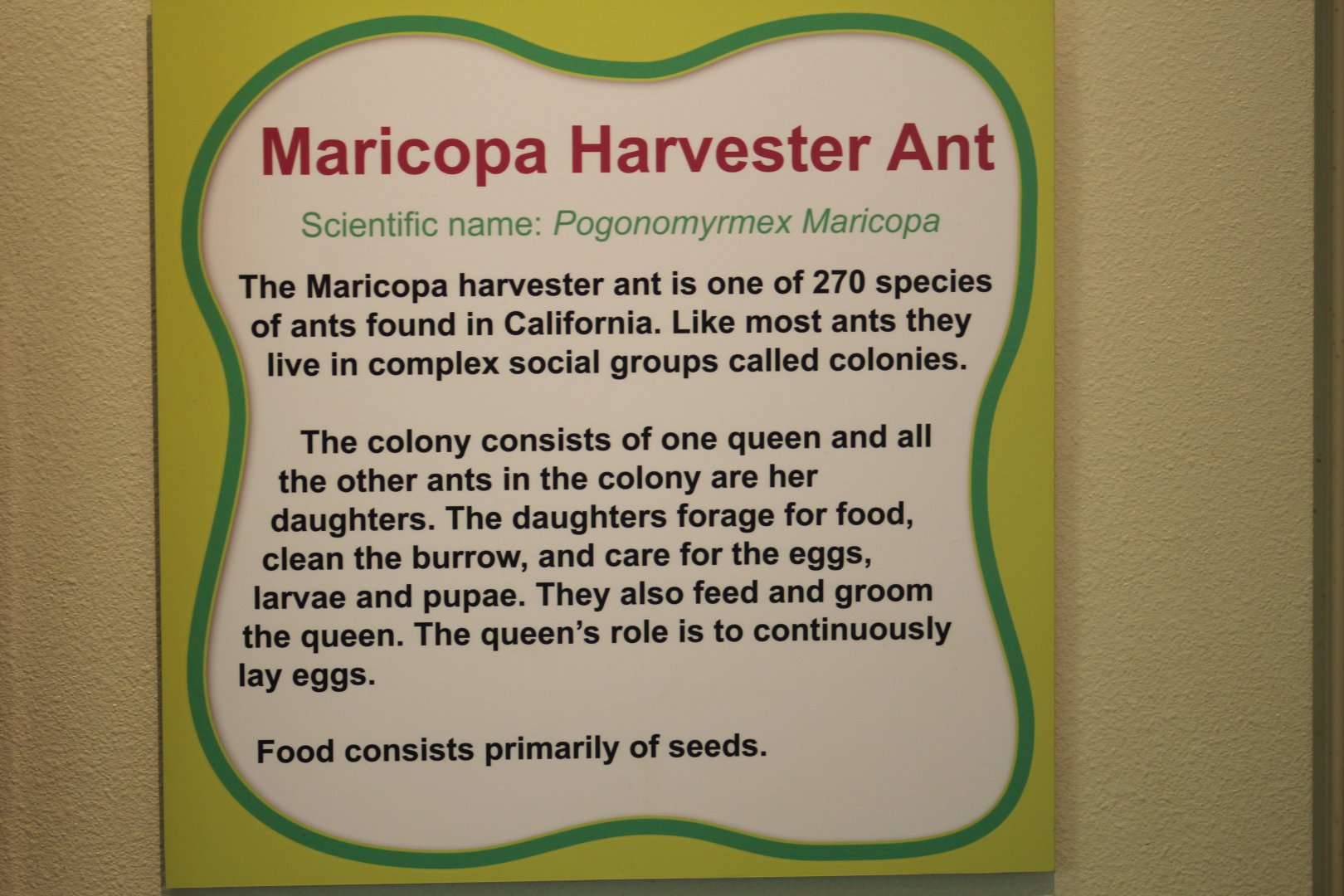 Harvester Ant Signage