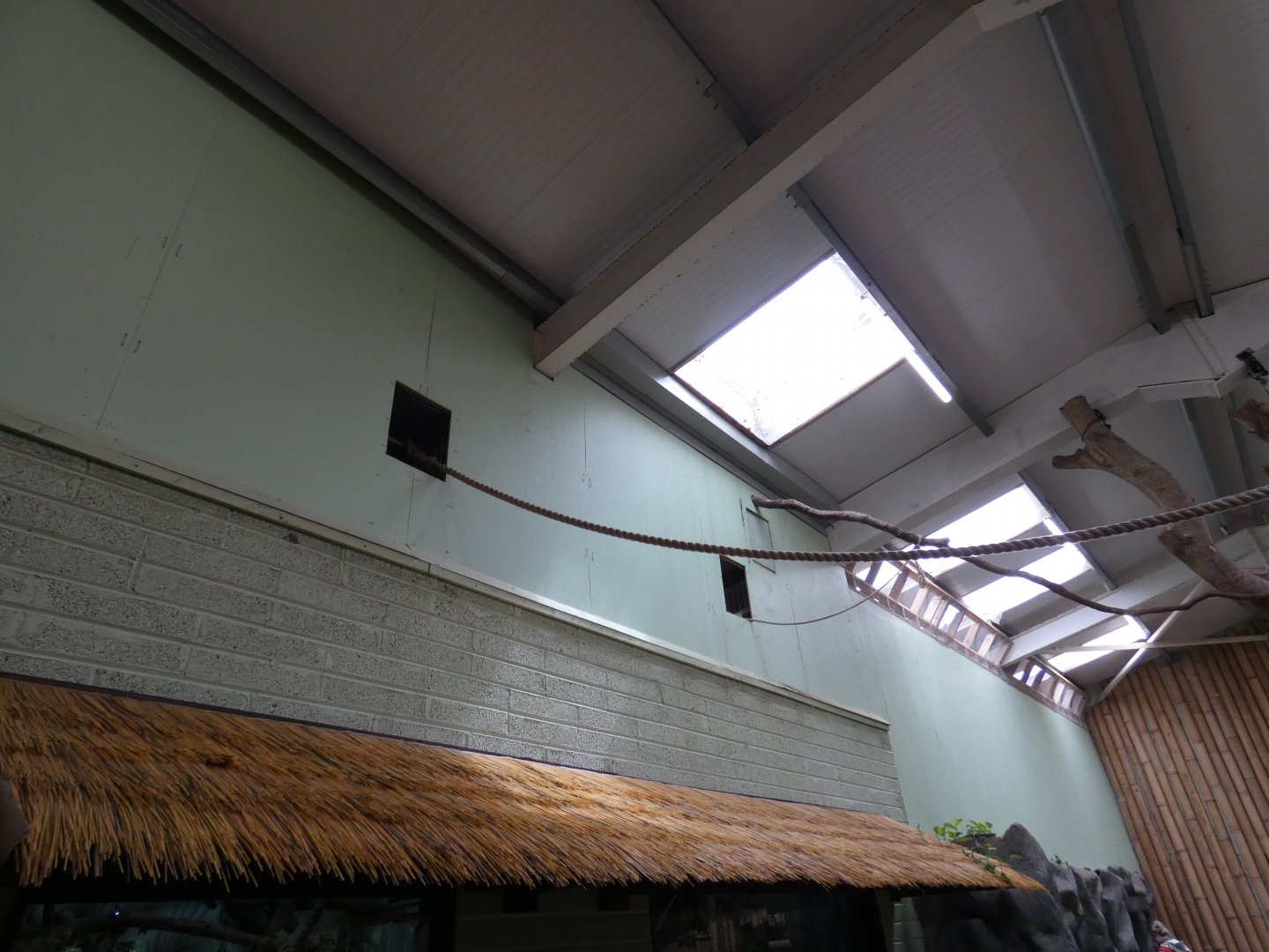 Hatch for the Two-toed sloths to roam the Tropical house