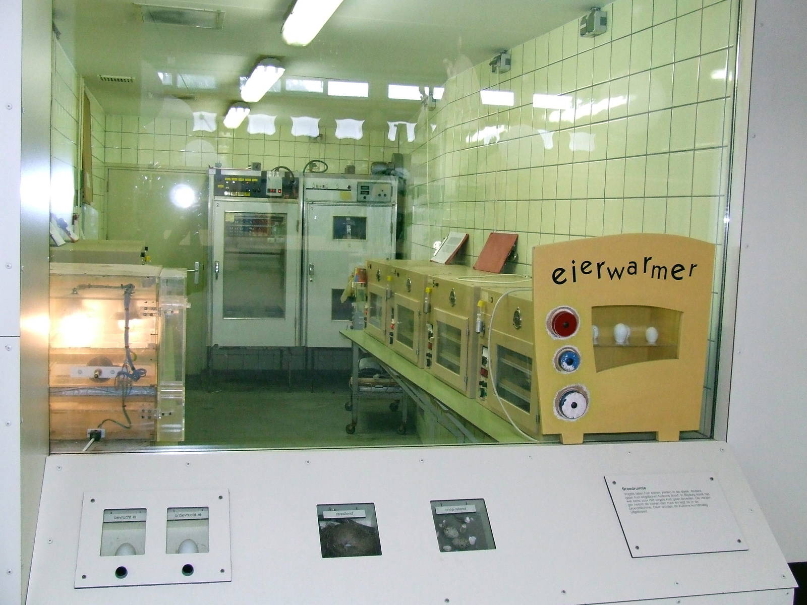 Hatchery Room, RivieraHal