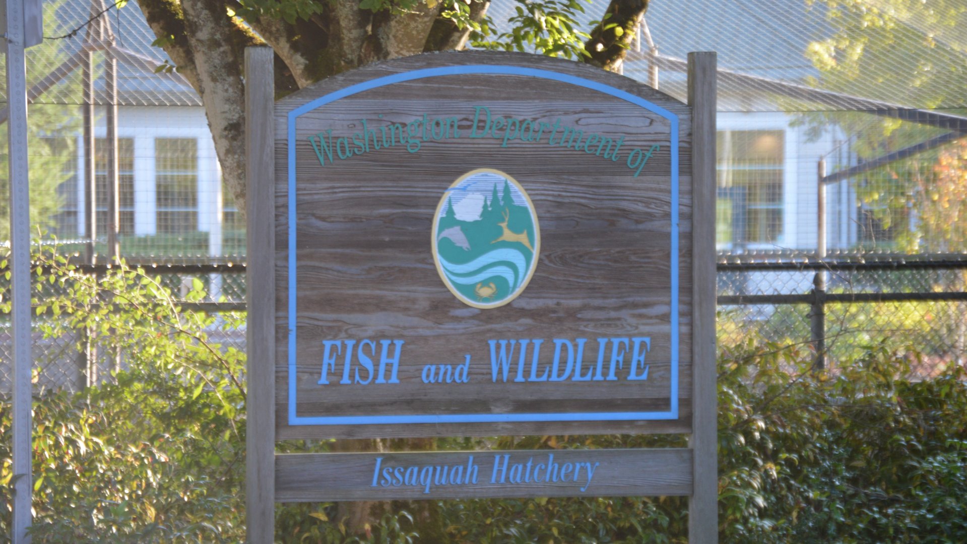 Hatchery Signage - Issaquah Salmon Hatchery