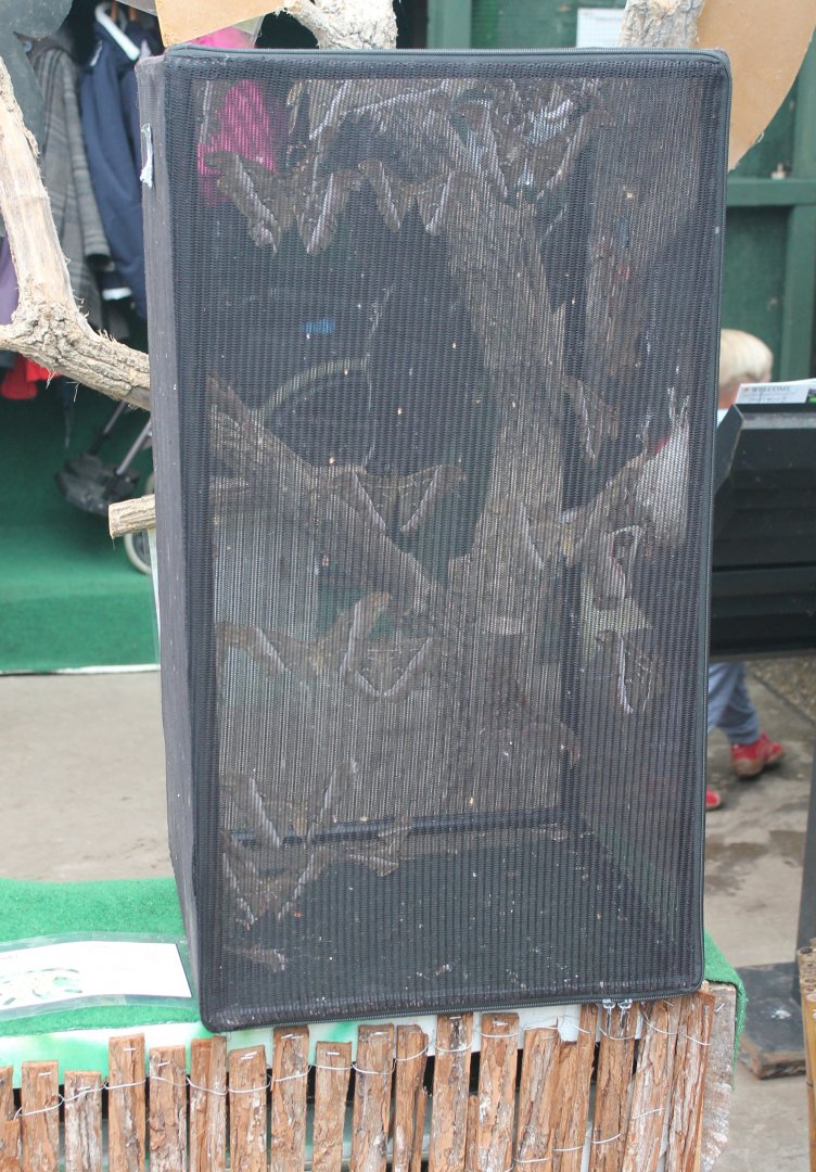 Hatchling-cage Atlas-butterflies