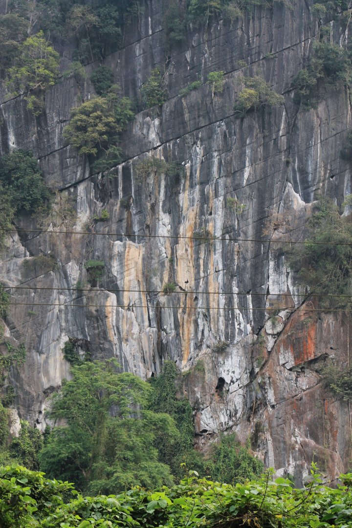 Hatinh Langur cliffs