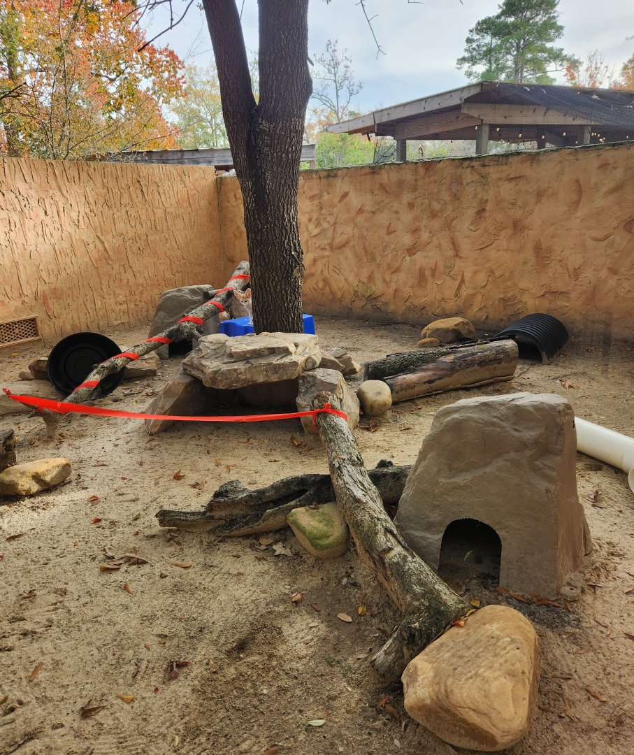 Hattiesburg Zoo - Fennec Fox enclosure