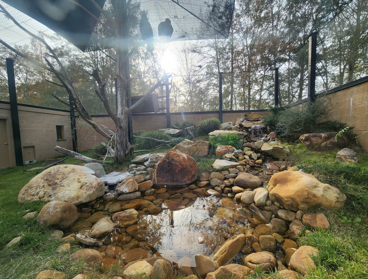 Hattiesburg Zoo - Golden Eagle exhibit at entrance