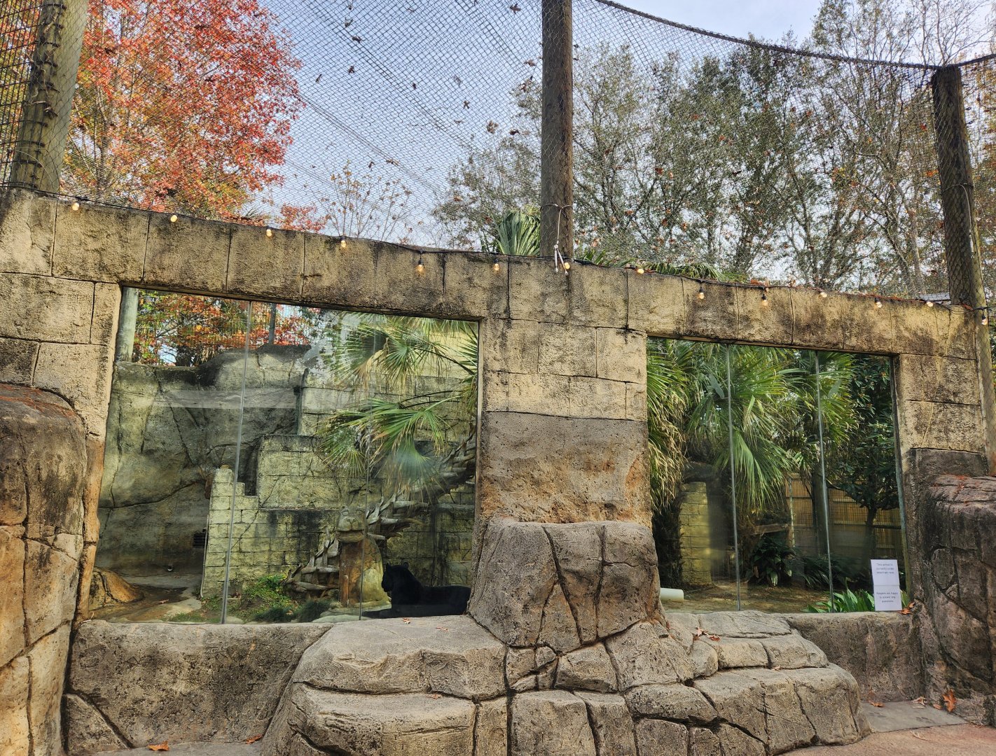 Hattiesburg Zoo - Jaguar exhibit
