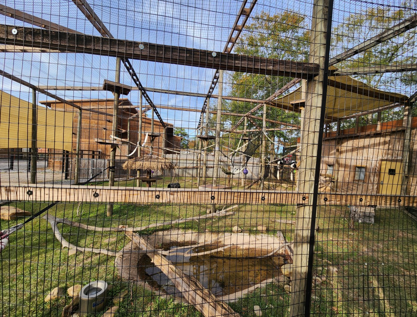 Hattiesburg Zoo - Monkey exhibit