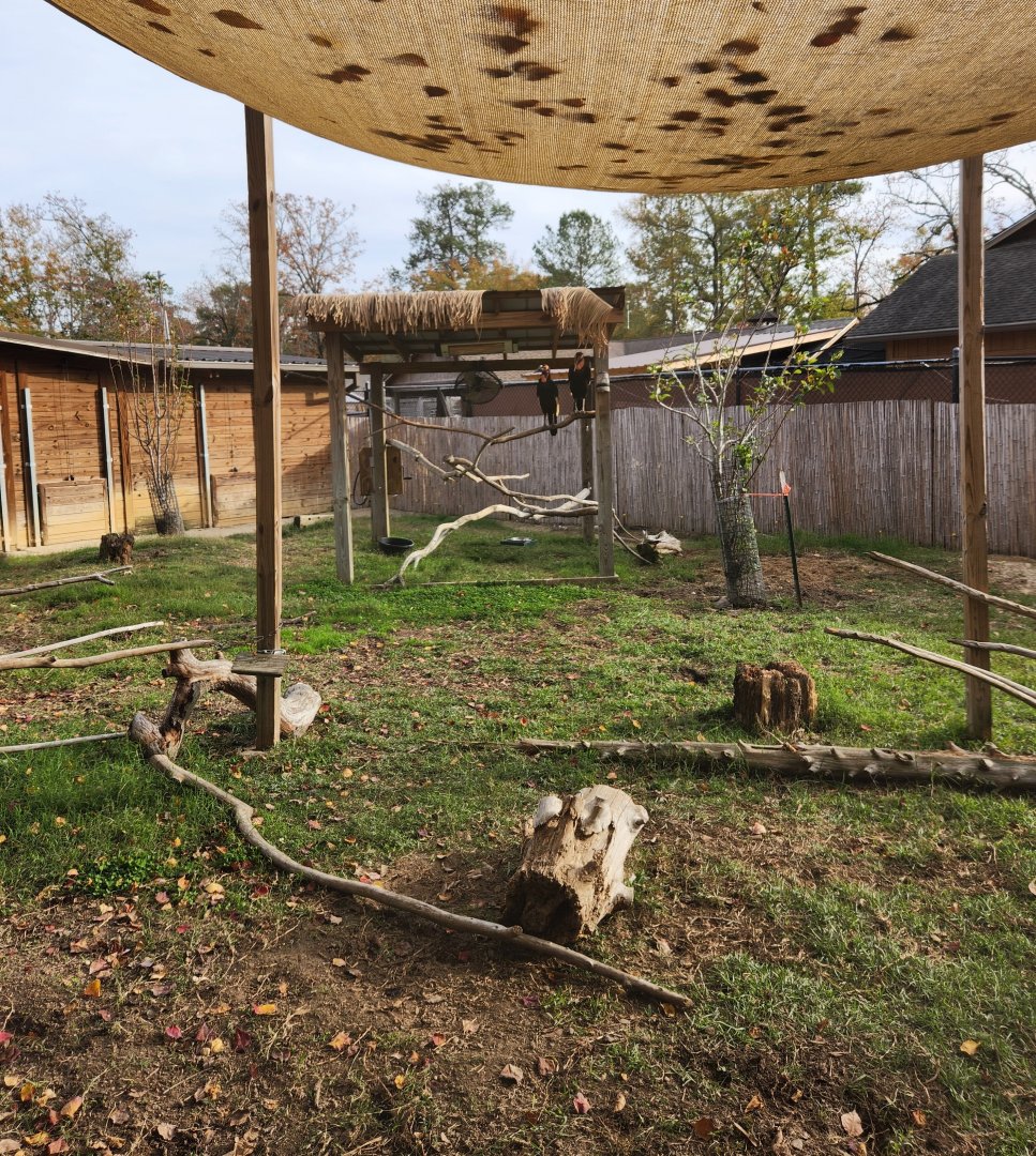 Hattiesburg Zoo - Porcupine/Ground Hornbill enclosure