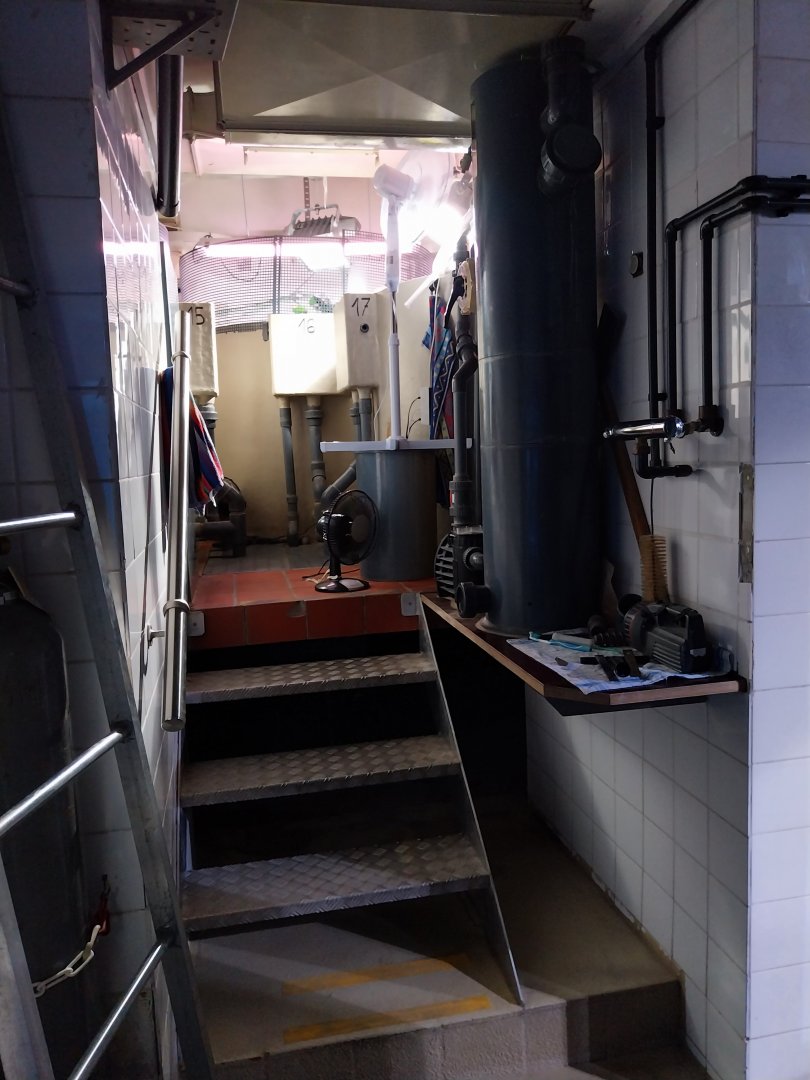 Haus der Natur - Aquarium - Coral reef room - Behind the scenes