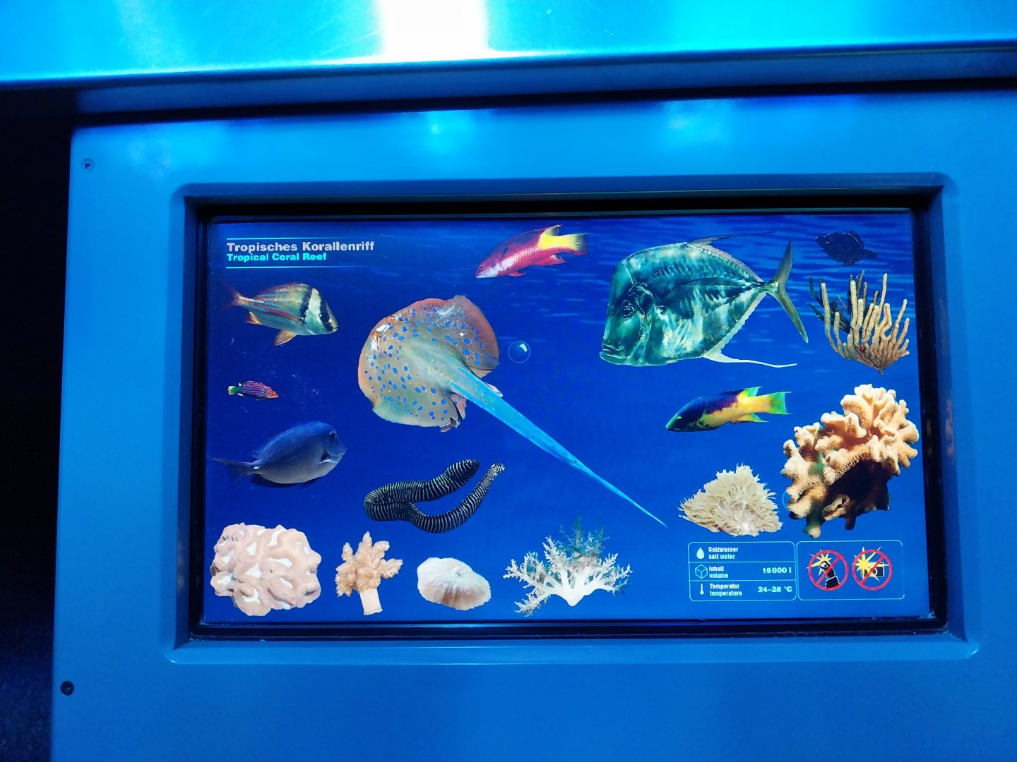 Haus der Natur - Aquarium - Coral reef room - Main aquarium species sign