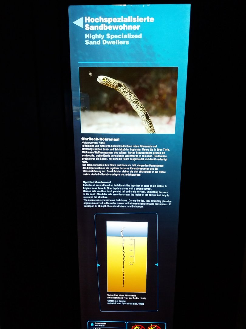 Haus der Natur - Aquarium - Species sign