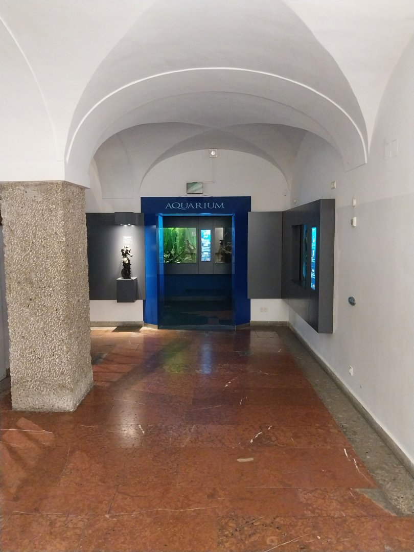 Haus der Natur - Aquarium